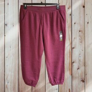Athletic Works Women's Fleece Cinch Pants Purple Eggplant Size XXL 20
